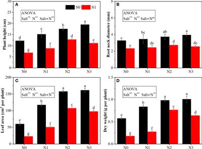 Moderate nitrogen application improved salt tolerance by enhancing photosynthesis, antioxidants, and osmotic adjustment in rapeseed (Brassica napus L.)